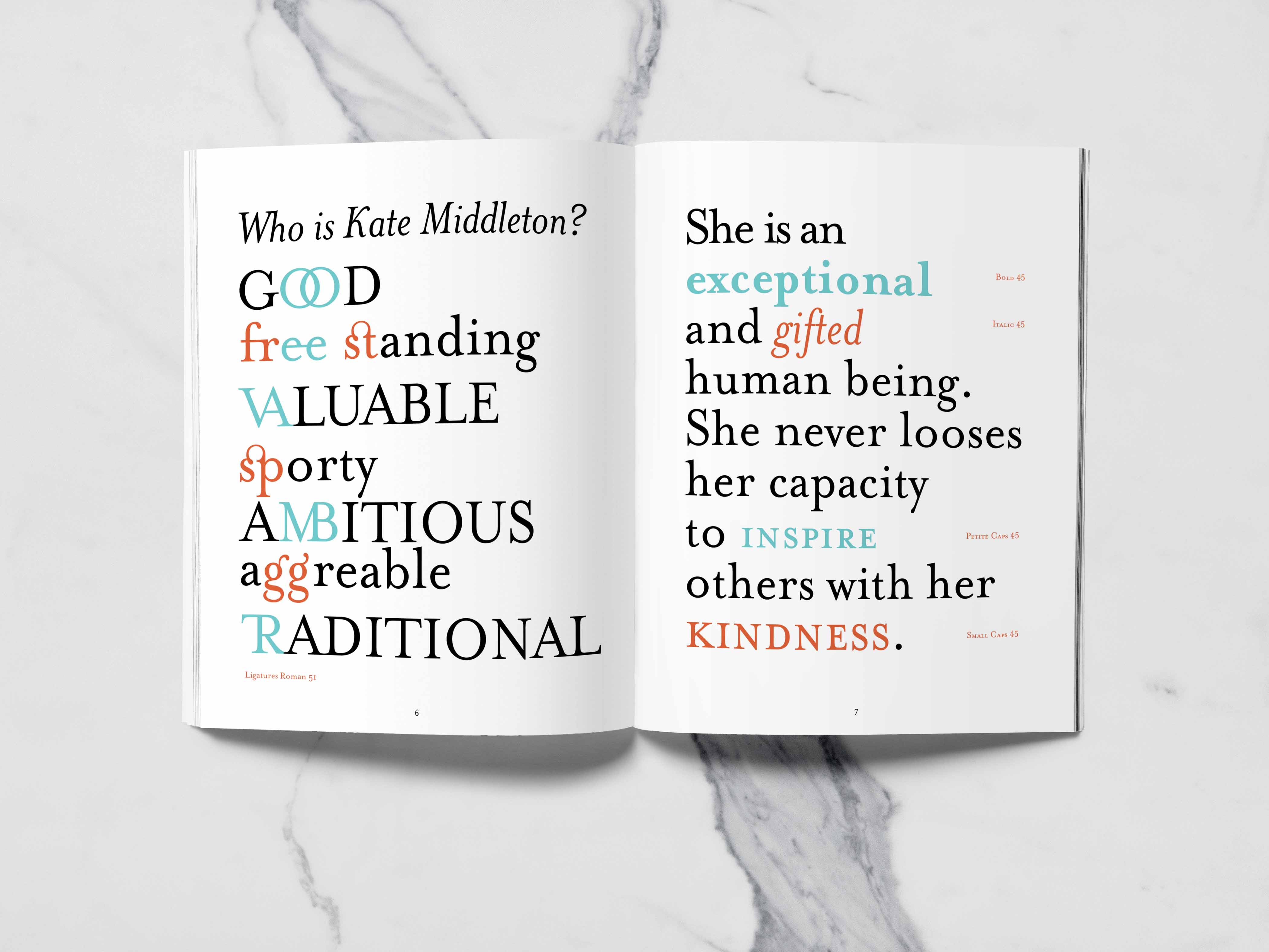 Ligatures and typeface family